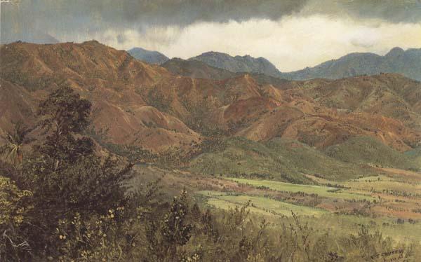 Frederic E.Church Red Hills near Kingston,Jamaica China oil painting art